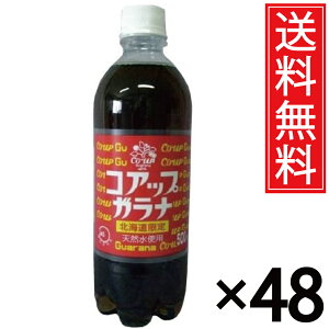 kC RAbvKi 500ml × 48{ (2P[X)  Џ ^ kC kC  P[X P[X   ܂Ƃߔ ʔ hN  ybg{g yb