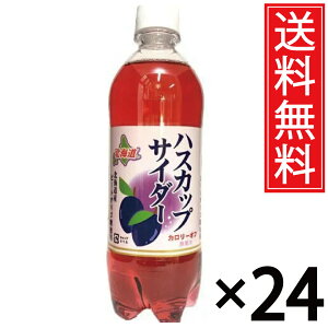 kC nXJbvTC_[ 500ml × 24{ (1P[X)  Џ ^ kC kC  P[X P[X   ܂Ƃߔ ʔ hN  ybg{g 