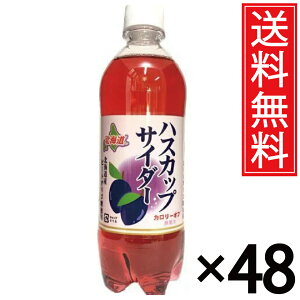 kC nXJbvTC_[ 500ml × 48{ (2P[X)  Џ ^ kC kC  P[X P[X   ܂Ƃߔ ʔ hN  ybg{g 