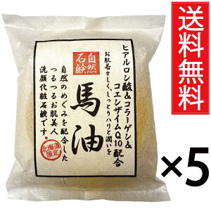 nΌ 100g × 5Zbg qA_ & R[Q & RGUCQ10 z RΌ st^ n ΂ Ԃ o[ \[v  XLPA    q kC