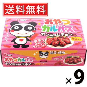 JpXBOXj`L 120g × 9 KC  ^ z[p[eB[ ʉَqZbg  q  ̂ ̍  e lߍ킹 َq ʉَq ƈ Jp