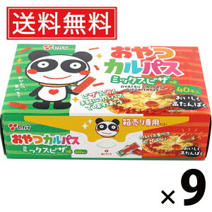 JpXBOX~bNXsU 120g × 9 KC  ^ z[p[eB[ ʉَqZbg  q  ̂ ̍  e lߍ킹 َq ʉَq ƈ JpX 
