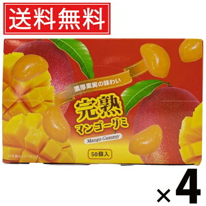 }S[O~ 300g × 4 ^N}Hi  ^  َq ʉَq ii ݂ǂ o܂ Mtg q ۈ牀 ct  Cxg zp O~   t[c ʎ 