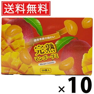 }S[O~ 300g × 10 ^N}Hi  ^  َq ʉَq ii ݂ǂ o܂ Mtg q ۈ牀 ct  Cxg zp O~   t[c ʎ 