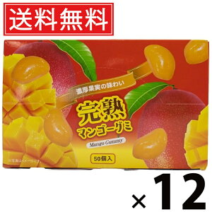 }S[O~ 300g × 12 ^N}Hi  ^  َq ʉَq ii ݂ǂ o܂ Mtg q ۈ牀 ct  Cxg zp O~   t[c ʎ 