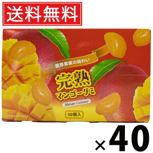 }S[O~ 300g × 40 ^N}Hi  ^  َq ʉَq ii ݂ǂ o܂ Mtg q ۈ牀 ct  Cxg zp O~   t[c ʎ 