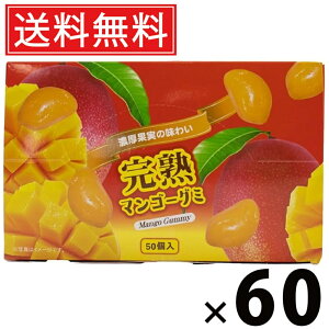}S[O~ 300g × 60 ^N}Hi  ^  َq ʉَq ii ݂ǂ o܂ Mtg q ۈ牀 ct  Cxg zp O~   t[c ʎ 