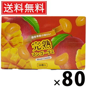 }S[O~ 300g × 80 ^N}Hi  ^  َq ʉَq ii ݂ǂ o܂ Mtg q ۈ牀 ct  Cxg zp O~   t[c ʎ 