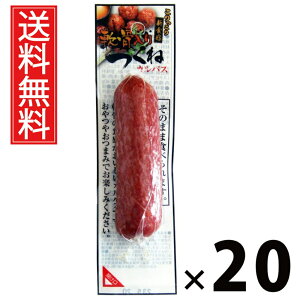 ˃JpXi^j 40g × 20 ܂݃Jpj[  ^ ܂ JpX   ^ r[ɍ ӎ nXibN   ܂Ƃߔ ʉَq