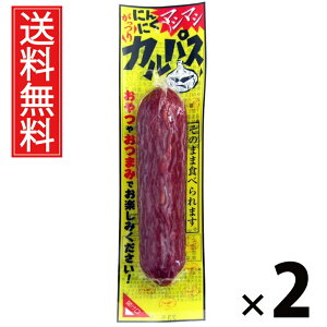 ɂɂ}V}VJpX 40g × 2 ܂݃Jpj[  ^ ܂ JpX jjN ɂɂ 傤 r[ɍ ӎ nXibN   ܂Ƃߔ ʉَq 