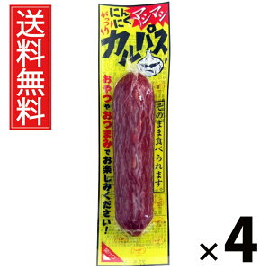 ɂɂ}V}VJpX 40g × 4 ܂݃Jpj[  ^ ܂ JpX jjN ɂɂ 傤 r[ɍ ӎ nXibN   ܂Ƃߔ ʉَq 