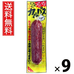 ɂɂ}V}VJpX 40g × 9 ܂݃Jpj[  ^ ܂ JpX jjN ɂɂ 傤 r[ɍ ӎ nXibN   ܂Ƃߔ ʉَq 