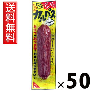 ɂɂ}V}VJpX 40g × 50 ܂݃Jpj[  ^ ܂ JpX jjN ɂɂ 傤 r[ɍ ӎ nXibN   ܂Ƃߔ ʉَq 