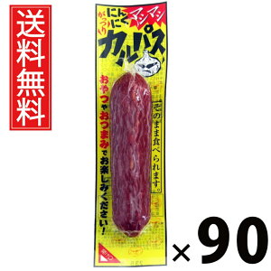 ɂɂ}V}VJpX 40g × 90 ܂݃Jpj[  ^ ܂ JpX jjN ɂɂ 傤 r[ɍ ӎ nXibN   ܂Ƃߔ ʉَq 