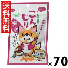 ごんじり梅しそ風味 35g × 70袋 村岡食品工業 送料無料 ／ ごんじり 梅しそ味 ひとくちサイズ ヘルシースナック おつまみ お茶うけ 低カロリー 食物繊維豊富 常温保存 駄菓子 おやつ 子供 お菓子 懐かしい 詰め合わせ 人気 お徳用 お祭り 縁日 景品 自治会 町内会 漬物