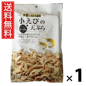 т̓VՂiӞj 40g 1 ]ˉ  ^ т̓VՂ Ӟ kƗg sh ܂ XibN wV[ J[ ς 퉷ۑ ԐH r[ { XgbN