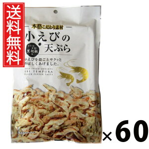 т̓VՂiӞj 40g × 60 ]ˉ  ^ т̓VՂ Ӟ kƗg sh ܂ XibN wV[ J[ ς 퉷ۑ ԐH r[ { Xgb