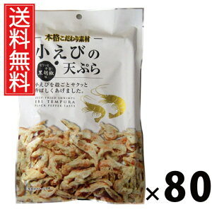 т̓VՂiӞj 40g × 80 ]ˉ  ^ т̓VՂ Ӟ kƗg sh ܂ XibN wV[ J[ ς 퉷ۑ ԐH r[ { Xgb