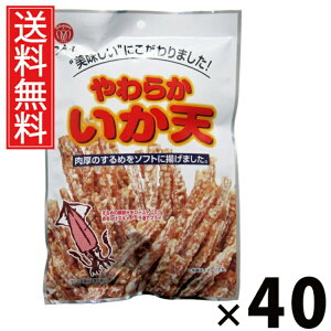 炩V 60g × 40 ]ˉ  ^ V kCY TNTNH ܂  XibN 퉷ۑ J[ ς XgbNp r[̂܂ {̍ kC