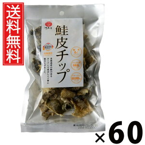 `bv 28g × 60 ]ˉ  ^ ܂  `bvX ̔ TP  kCY ]ˉ XibN  [ ᓜ  wV[ e _CGbg Oet[ ̍