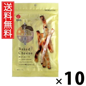 gt Baked Cheese 45g × 10 ]ˉ  ^ ܂  `[Y gtIC J ]ˉ g xCNh`[Y ̂܂ C p  kCY 퉷