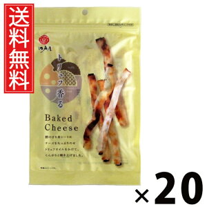 gt Baked Cheese 45g × 20 ]ˉ  ^ ܂  `[Y gtIC J ]ˉ g xCNh`[Y ̂܂ C p  kCY 퉷