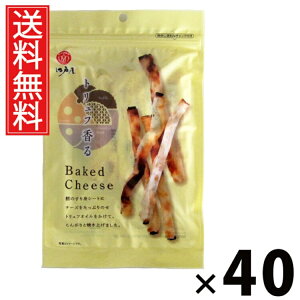gt Baked Cheese 45g × 40 ]ˉ  ^ ܂  `[Y gtIC J ]ˉ g xCNh`[Y ̂܂ C p  kCY 퉷
