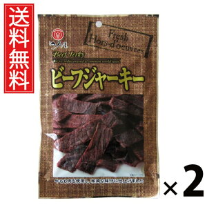 ビーフジャーキー 22g × 2袋 江戸屋 送料無料 / 江戸屋 チキンジャーキー 牛肉 ビーフ 国産 低脂肪 おやつ おつまみ ヘルシー おいしい 人気 乾燥肉 スナック 非常食 保存食 常備食 ビール お