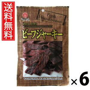 ビーフジャーキー 22g × 6袋 江戸屋 送料無料 / 江戸屋 チキンジャーキー 牛肉 ビーフ 国産 低脂肪 おやつ おつまみ ヘルシー おいしい 人気 乾燥肉 スナック 非常食 保存食 常備食 ビール お