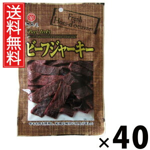 ビーフジャーキー 22g × 40袋 江戸屋 送料無料 / 江戸屋 チキンジャーキー 牛肉 ビーフ 国産 低脂肪 おやつ おつまみ ヘルシー おいしい 人気 乾燥肉 スナック 非常食 保存食 常備食 ビール お
