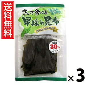 ĐHׂ鑁̂ꍩz  30g × 3 ]ˉ  ^ ]ˉ ĐHׂ鍩z z ̂ꍩz kCYz Hׂ鍩z  ܂ J[  wV[ _CGbg 