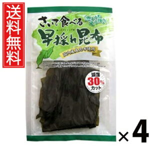 ĐHׂ鑁̂ꍩz  30g × 4 ]ˉ  ^ ]ˉ ĐHׂ鍩z z ̂ꍩz kCYz Hׂ鍩z  ܂ J[  wV[ _CGbg 