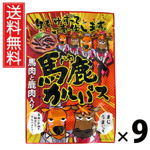 nJpX 64g × 9 ]ˉ  ^ ]ˉ nJpX 64g JpX hC\[Z[W ܂  XpCV[ r[ɍ Cɍ Ēɍ  ^ AEgh