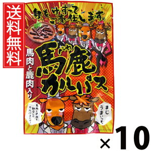 nJpX 64g × 10 ]ˉ  ^ ]ˉ nJpX 64g JpX hC\[Z[W ܂  XpCV[ r[ɍ Cɍ Ēɍ  ^ AEgh