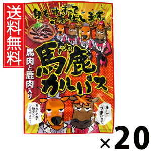 nJpX 64g × 20 ]ˉ  ^ ]ˉ nJpX 64g JpX hC\[Z[W ܂  XpCV[ r[ɍ Cɍ Ēɍ  ^ AEgh