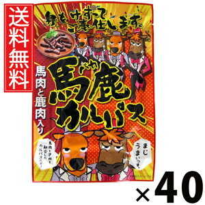 nJpX 64g × 40 ]ˉ  ^ ]ˉ nJpX 64g JpX hC\[Z[W ܂  XpCV[ r[ɍ Cɍ Ēɍ  ^ AEgh