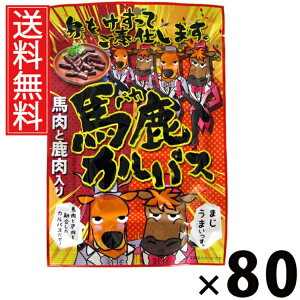 nJpX 64g × 80 ]ˉ  ^ ]ˉ nJpX 64g JpX hC\[Z[W ܂  XpCV[ r[ɍ Cɍ Ēɍ  ^ AEgh