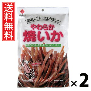 炩Ă 33g × 2 ]ˉ  ^ ]ˉ 炩 Ă 33g ܂  ӂH _炩 YCJ ̍ ƈ Lv  HׂTCY yH `~  r