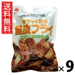 TNbƔZtC 45g × 9 ]ˉ  ^ ]ˉ TNb Z tC 45g ܂  XibN ̍ r[ɍ JVE c Y HׂTCY  ƈ