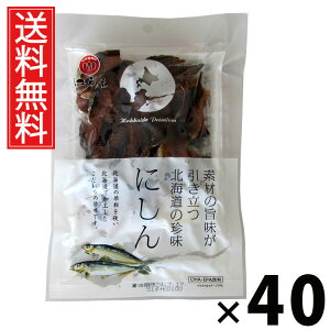 ɂ 51g × 40 ]ˉ  ^ fނ̎|݂ kC̒ ɂ51g ɂ񒿖 kCY ܂݃XibN Y  ̍  XibN r[ 