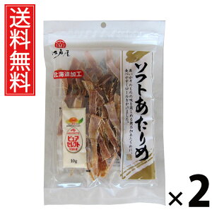 \tg 45g × 2 ]ˉ  ^ \tg45g  \tg  ܂݂ YX XibN  ̍ wV[ r[ { ƈ