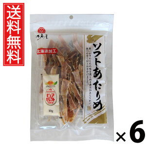 \tg 45g × 6 ]ˉ  ^ \tg45g  \tg  ܂݂ YX XibN  ̍ wV[ r[ { ƈ