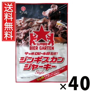 WMXJW[L[ 24g × 40 ]ˉ  ^ W[L[ WMXJ W[L[ rXibN kC ܂ݓ YW[L[ ̍ ܂ 