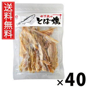 X̂Ƃ 87g × 40 ]ˉ  ^ X R}C Ƃ   kCY ]ˉ   ܂ ̍ 񂹃O Y   R}C Y 