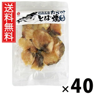 ̂Ƃ`bv 103g × 40 ]ˉ  ^ L  `bv kCY Y ܂   \tg ^pN J[ ̍ 񂹃O  kC