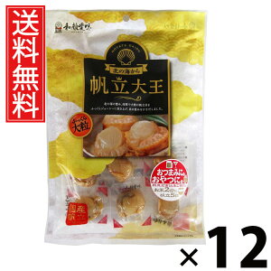 剤 75g × 12 ĐHi  ^ قĒ  z^eL L ܂    CN ^pN J[ \tg Y  kCO