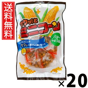サクッ!とミニコーン 72g × 20袋 江戸屋 送料無料 / スナックコーン ジャイアントコーン サクサクおやつ コーンスナック とうもろこし菓子 コーン菓子 塩味スナック おつまみスナック 小腹