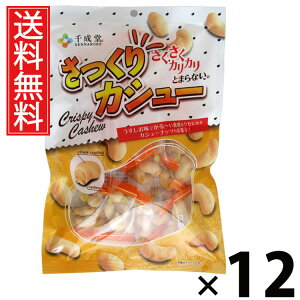 JV[ 80g × 12 琬  ^ ܃TCY JV[ibcَq ibc wV[XibN ς ᓜ XibNَq `bNt ۑɕ֗ ibc܂ 