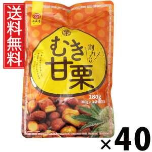 ނÌI (60g×3) 180g × 40 ]ˉ  ^ Y  Rh ÌIXibN Î wV[ IXibN H@ Iَq  I H 퉷ۑ 