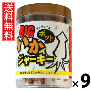 W[L[rbO|bg 100g × 9 oGWp  ^ CJW[L[ ܂ݒ \tgW[L[ XibN eʂ܂ POT^Cv CN r[ɍ ӎނ̂